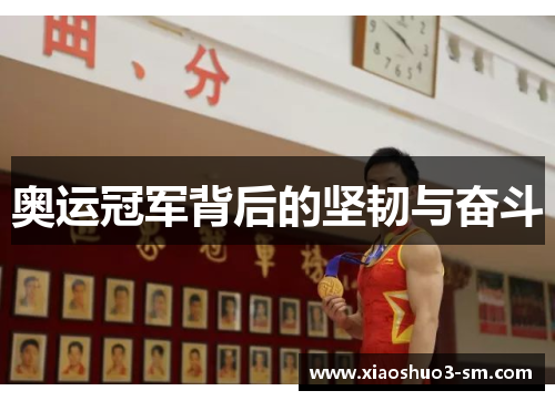 奥运冠军背后的坚韧与奋斗
