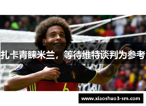 扎卡青睐米兰，等待维特谈判为参考