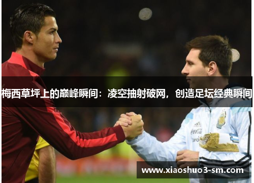 梅西草坪上的巅峰瞬间：凌空抽射破网，创造足坛经典瞬间